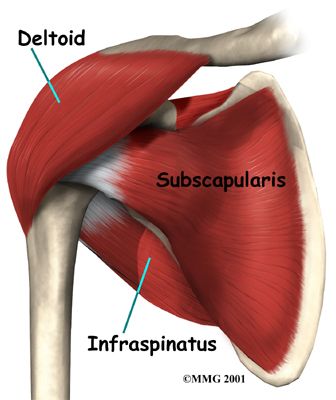 sous scapulaire